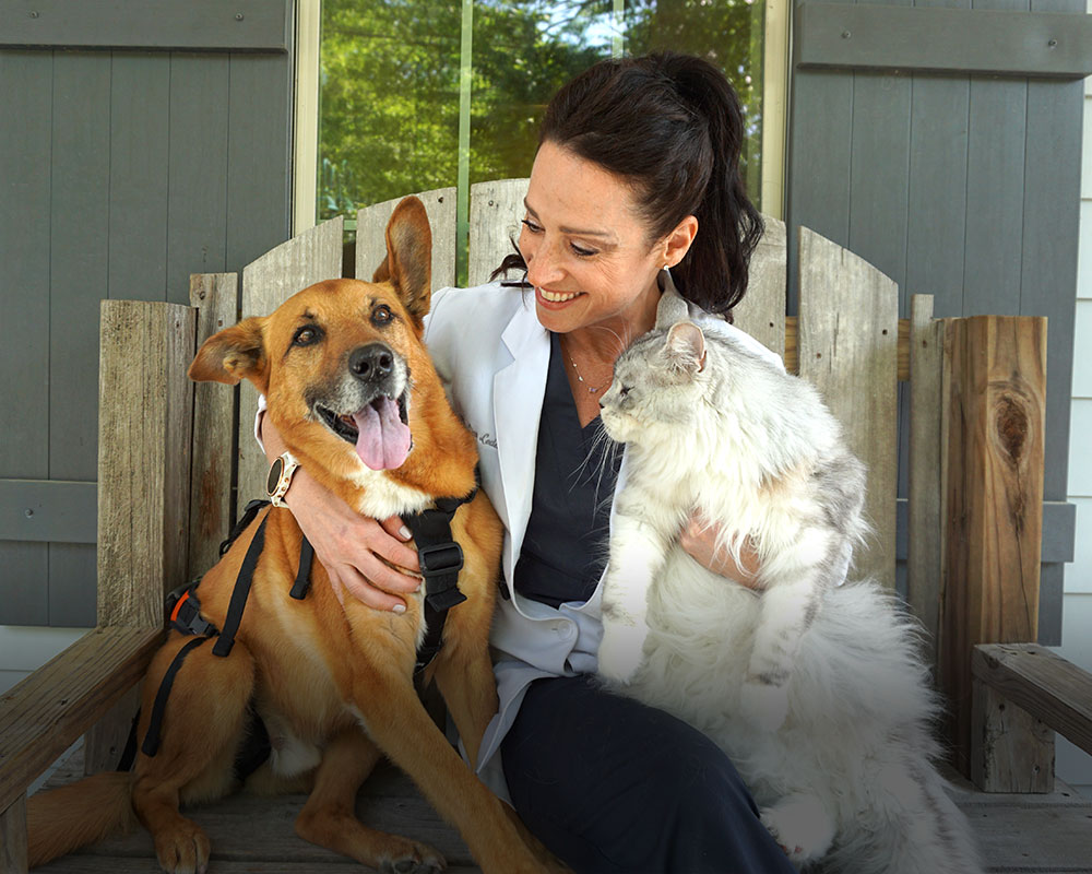 HighQuality Vet Hospital in Mandeville, LA Mandeville Animal Hospital